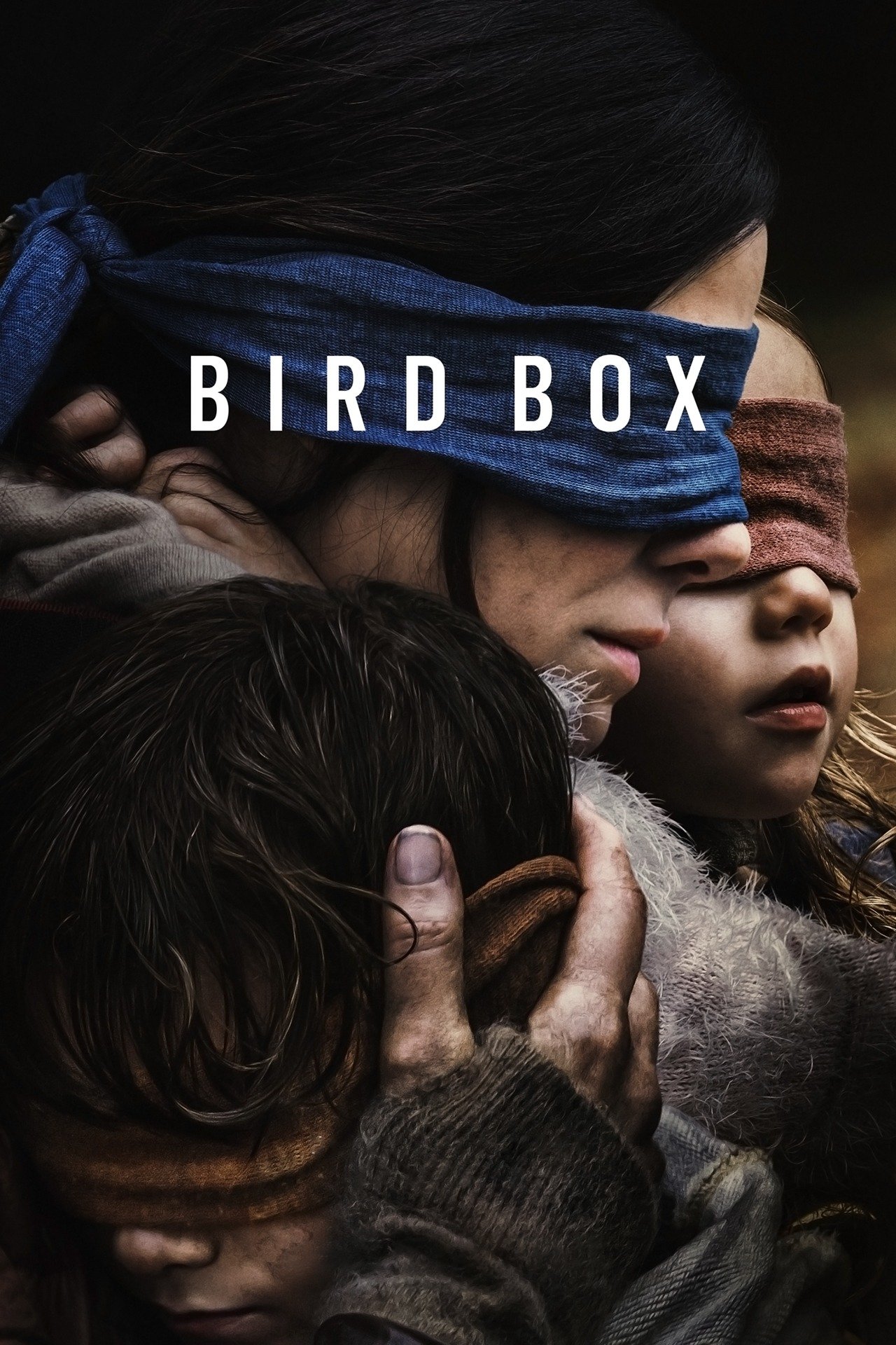 Bird Box (2018) [416450] (A1751877591) [[Movies]] --Plex--